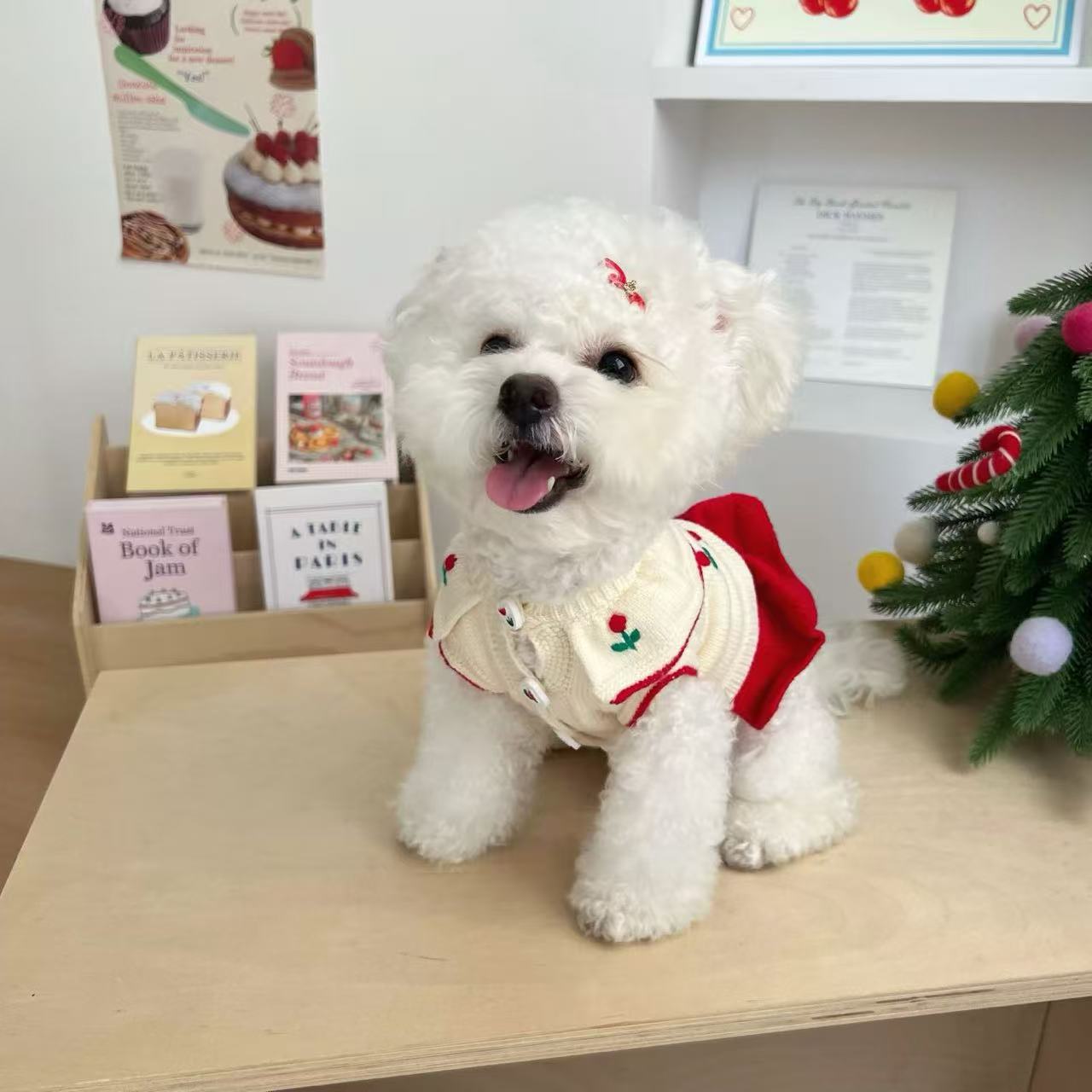 T905 Autumn and winter dog clothes winter warm small puppy small body Bichon Teddy Schnauzer cute cardigan sweater