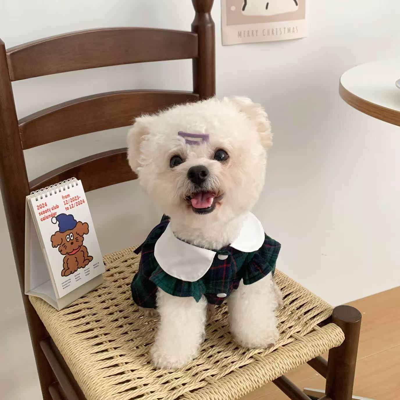 T903 Dog clothes 2025 new summer thin small and medium-sized dog small body Bichon Teddy cute pet cat skirt