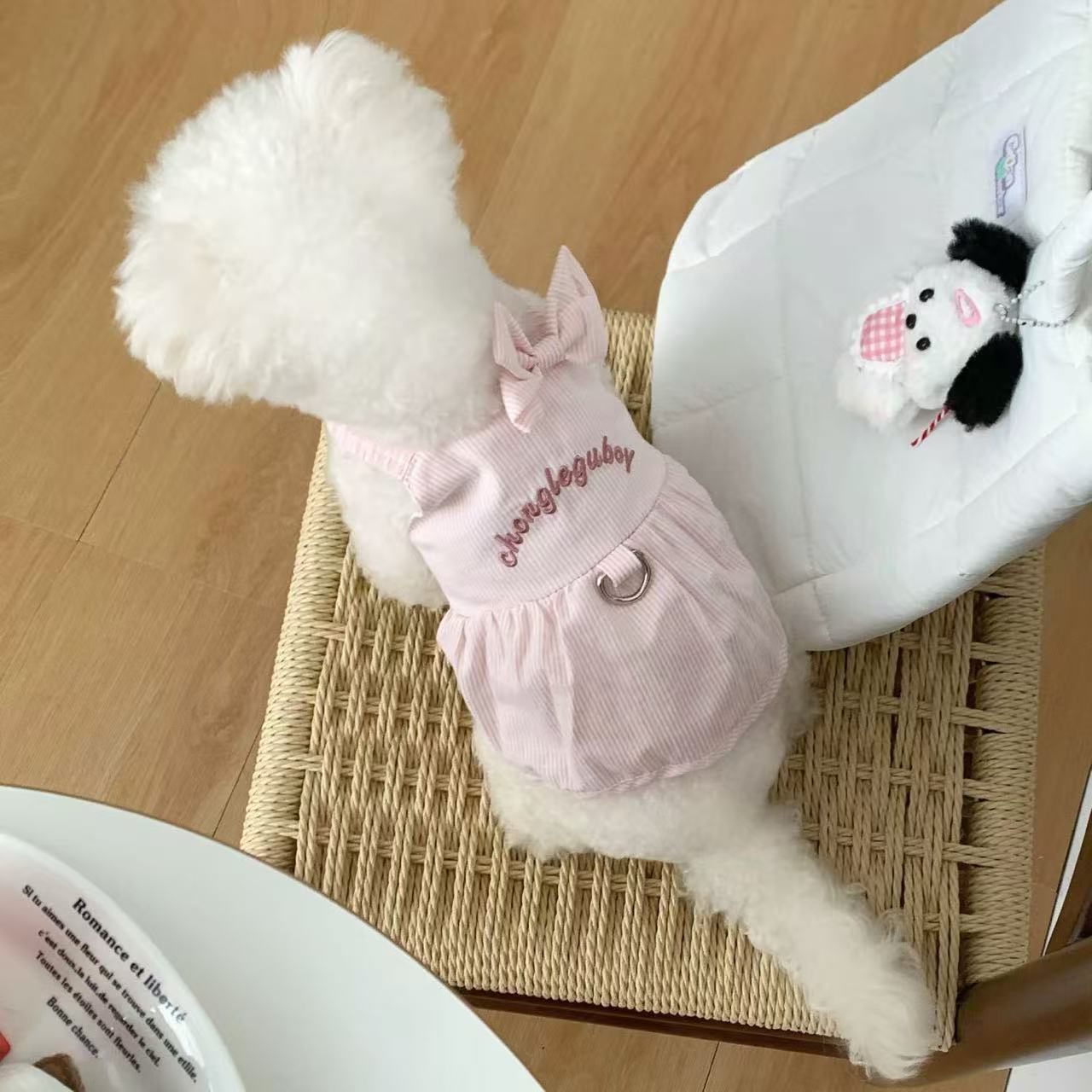 T907 Spring and summer dog clothes 2025 new style can be pulled small dogs and puppies thin princess style pet cat skirt
