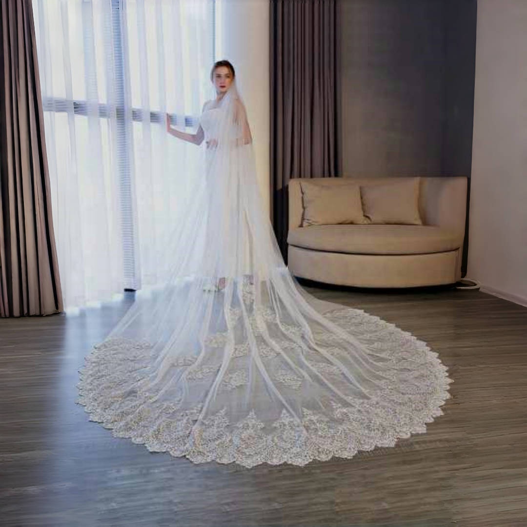Modern Customized Bridal Veils Women Cathedral Length One Layer Soft Tulle Appliqued Wedding Marriage Accessories