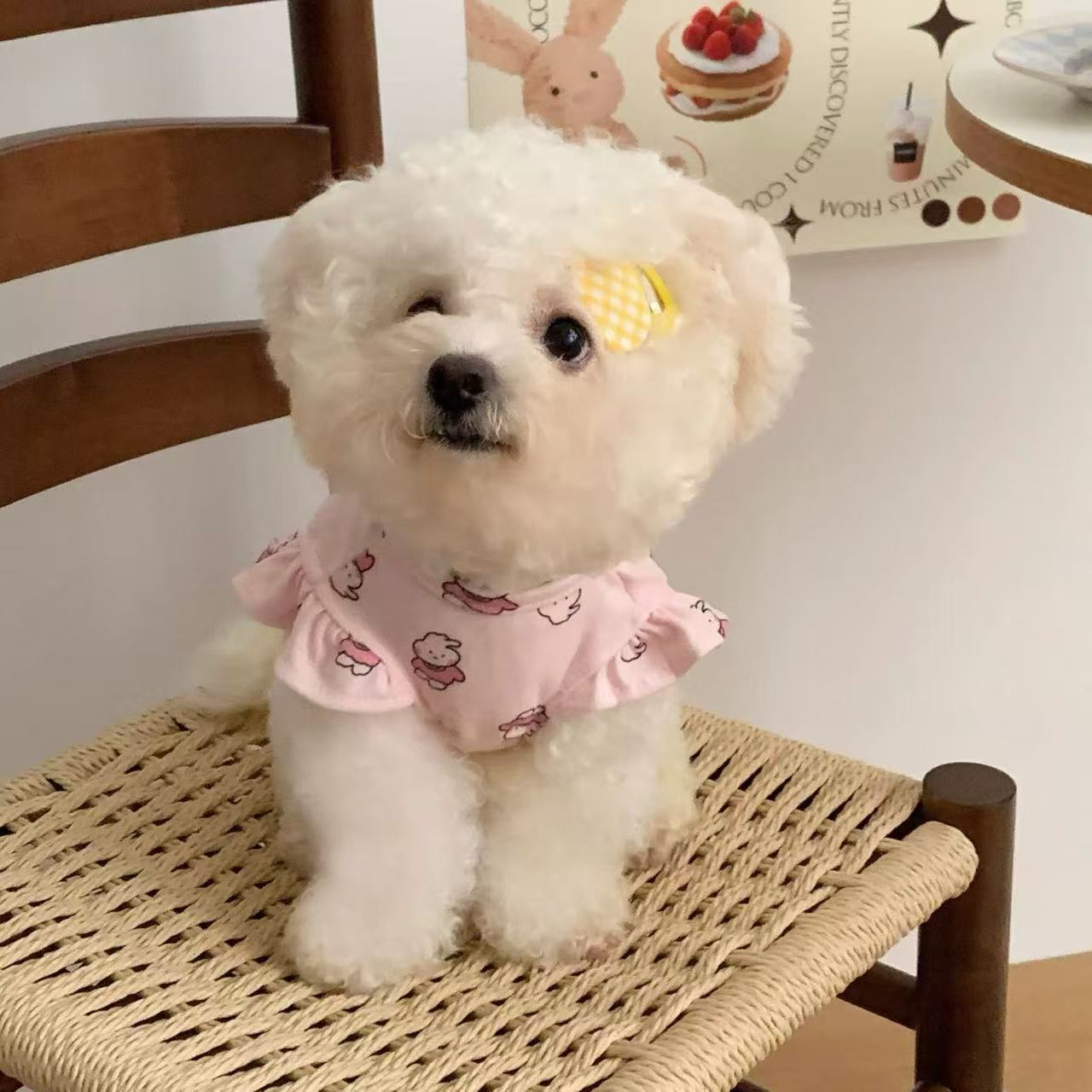 T910 Summer pet dog clothes thin summer small puppy Bichon Teddy Pomeranian puppy summer clothes flying sleeve vest
