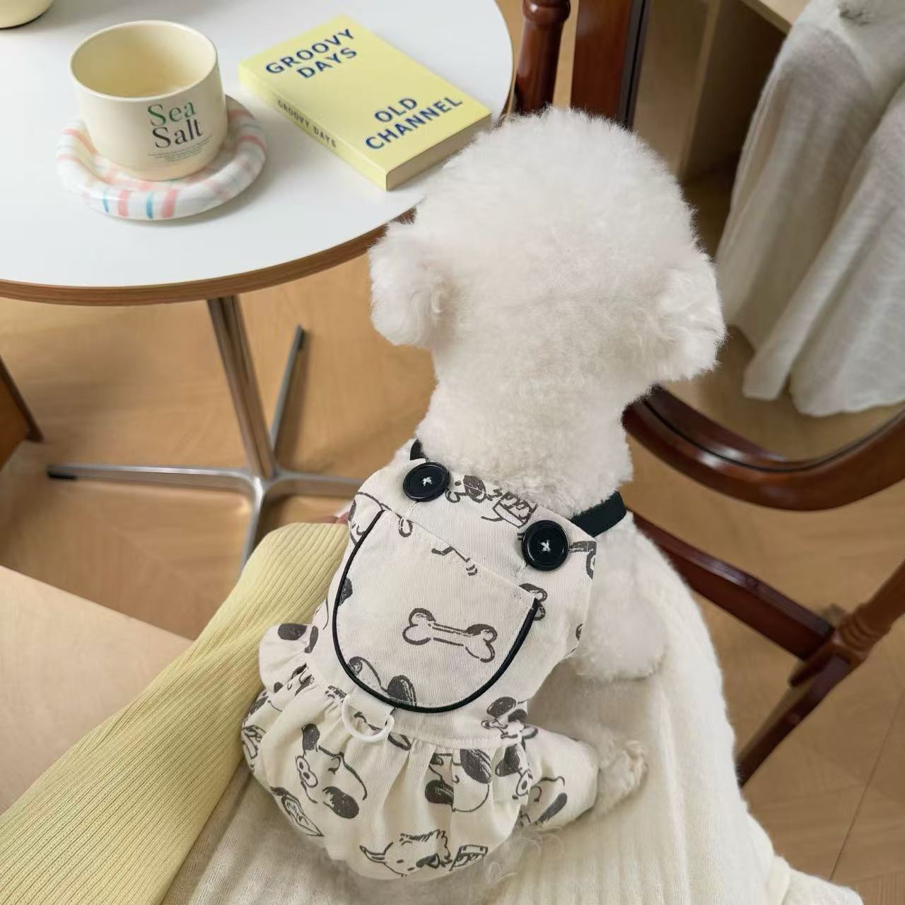 T908 Dog clothes spring and summer thin 2025 new small dog Bichon Teddy cat Maltese anti-hair loss skirt