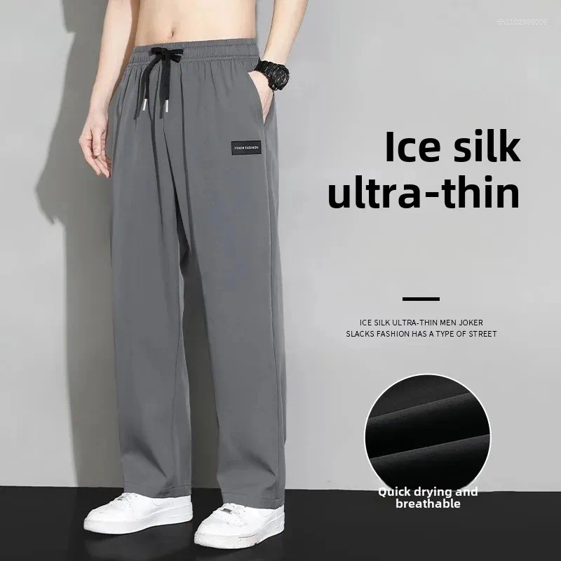 Men's Pants Ice Silk Straight-Leg Summer Autumn Thin Quick Dry Loose-Fit Draped Wide Leg Casual Trousers For Sports