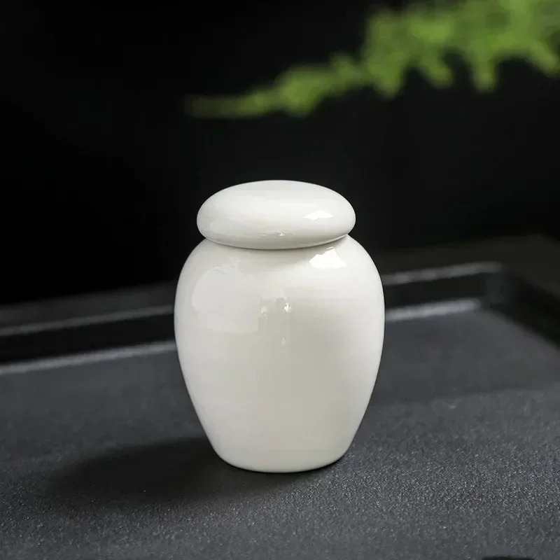 Mini Pet Urn Ashes for Human Ashes Hand Painted Urns Cremation Urns Pet Caskets Pet Cremation Vase Made of Ceramics 250805