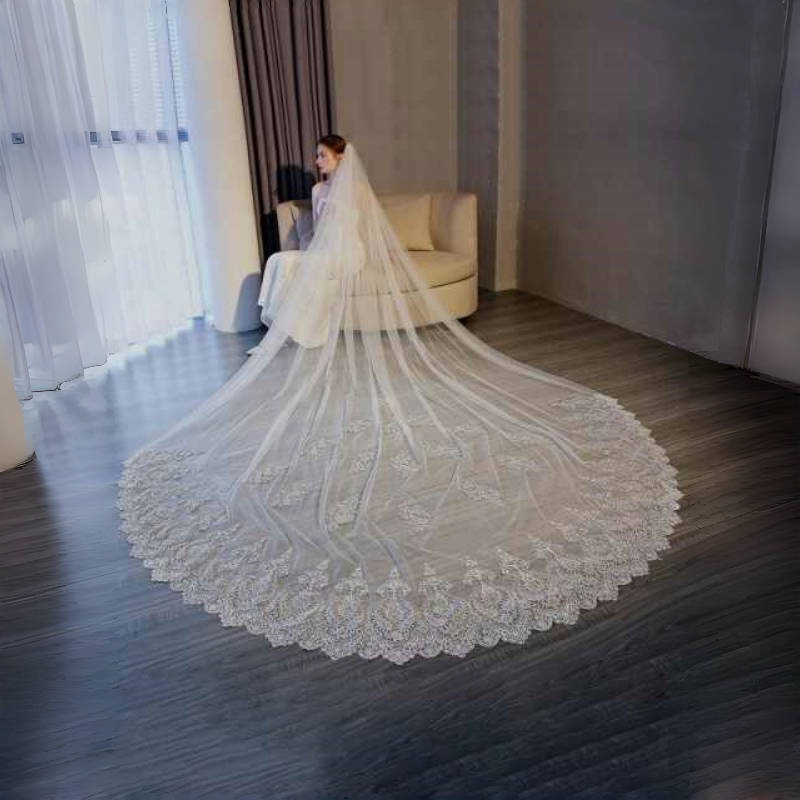 Modern Customized Bridal Veils Women Cathedral Length One Layer Soft Tulle Appliqued Wedding Marriage Accessories
