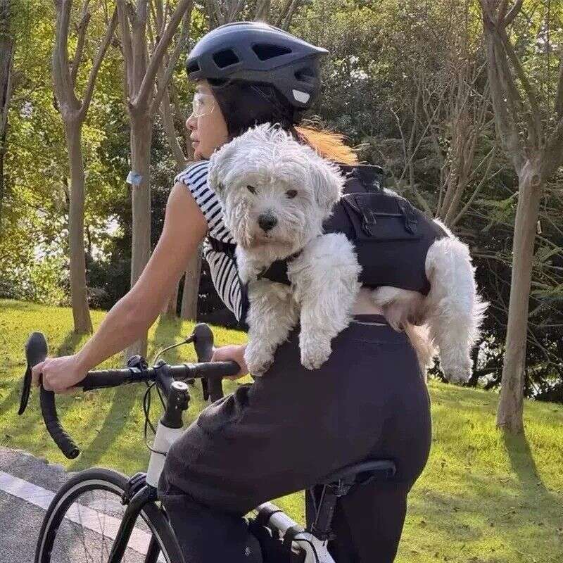 Designer Bag Tote Shoulder Bag Convenient New Small Pet Dog Outdoor Backpack Breathable And Comfortable Handbag