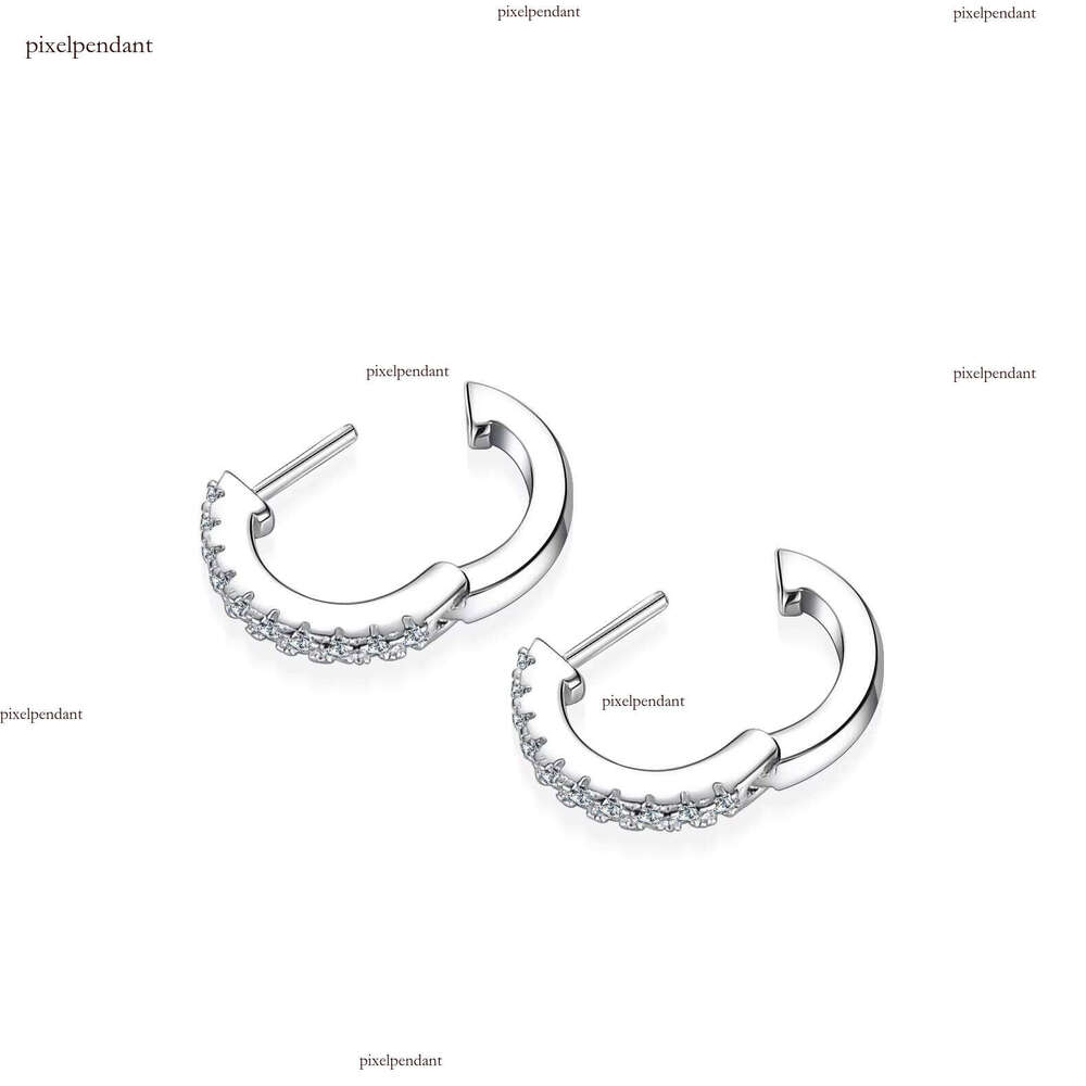 Pure Sier Elegant Moissanite Earrings Gift and Resale