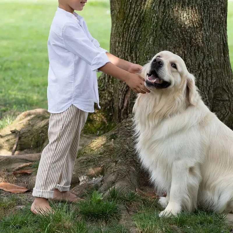 Boys White Linen Shirt 2025 Spring New Childrens Stand-Up Collar Buttons Daily Casual Cotton And Linen Long-Sleeved Shirts X250806