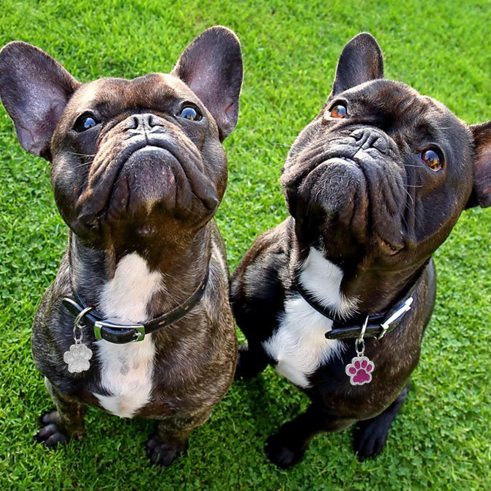 Bling Dog ID Tag Personalized Gorgeous Dog Tags for Small Medium Dog Footprint Custom Pet Name Tag Plate Collar Accessories 250805