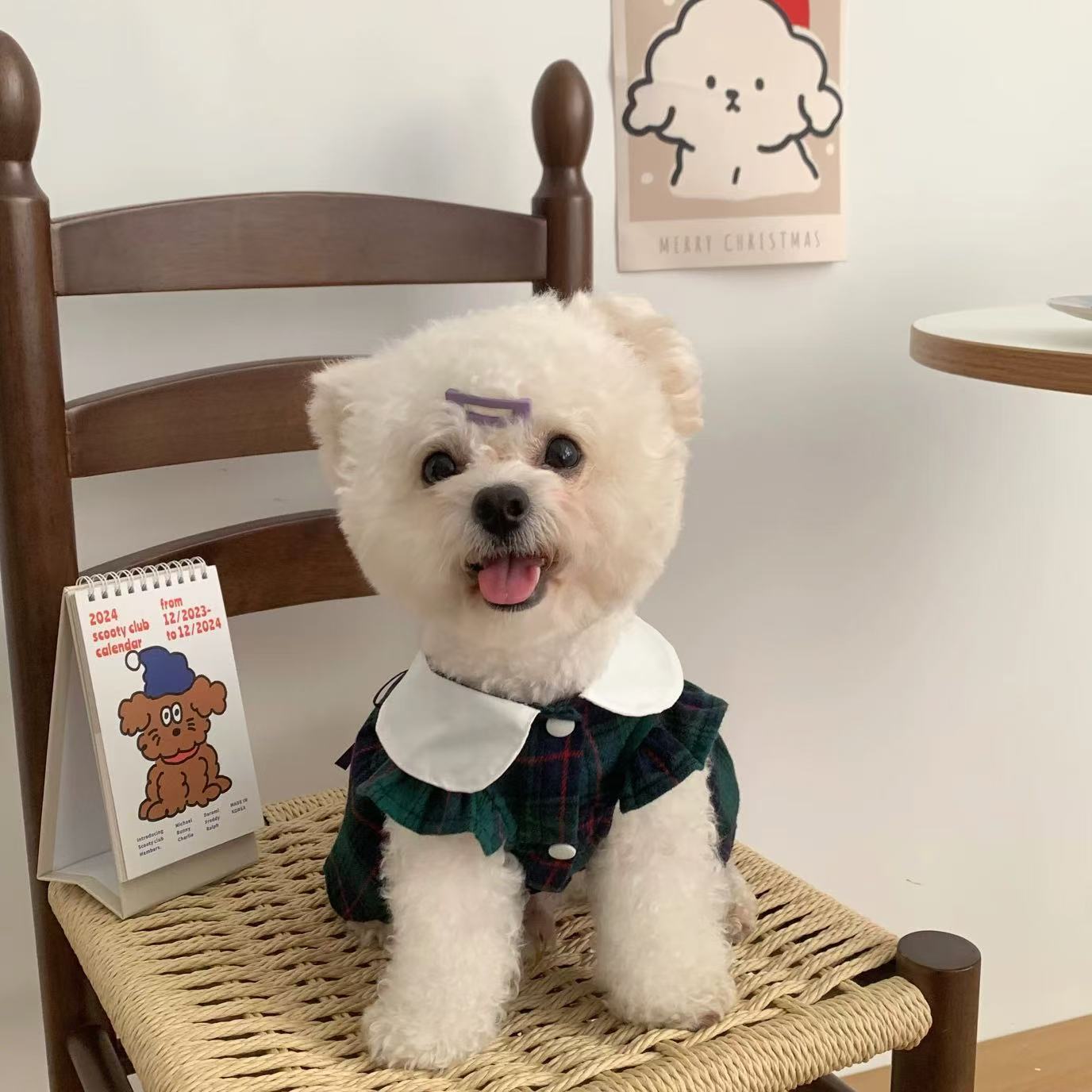T903 Dog clothes 2025 new summer thin small and medium-sized dog small body Bichon Teddy cute pet cat skirt