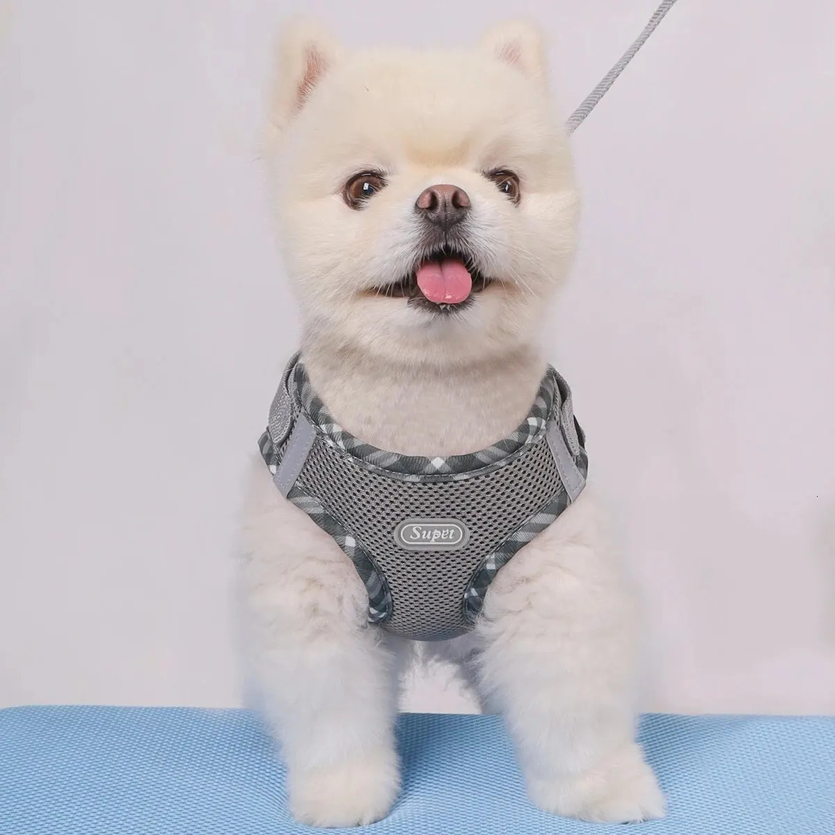 Supet 1pc Dog Harness Anti-Pull Pet Harness Adjustable Easy to Control Suitable for Small Medium Dogs 250805