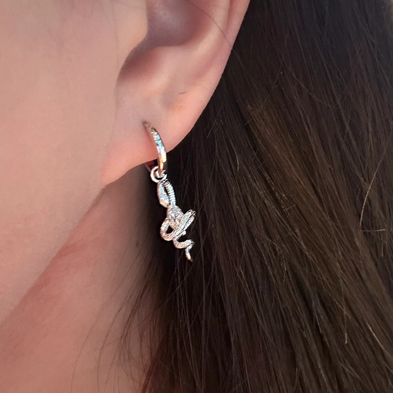 Hui Zhi Wing Jewelry New S Sier Snake Wrapped Horse Eye Earrings Light High-End Feel Ear Accessories