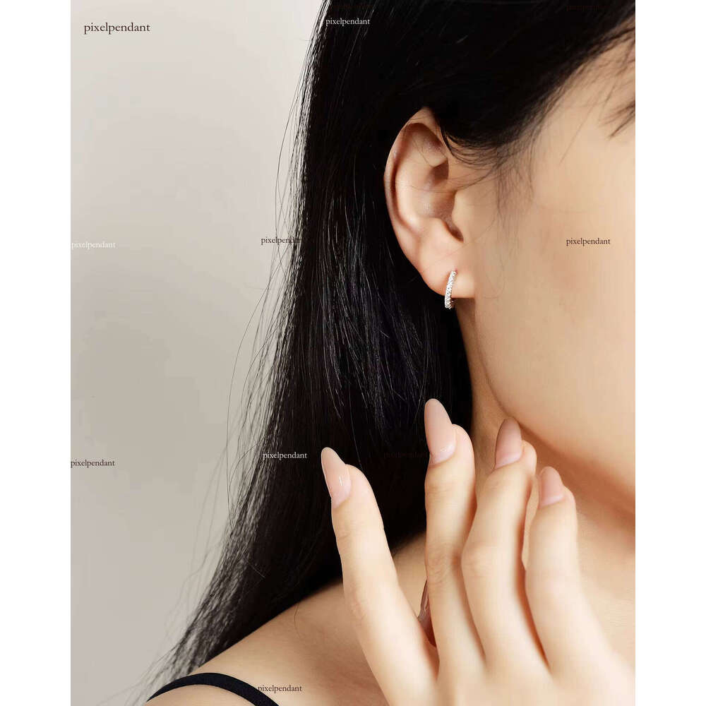 Pure Sier Elegant Moissanite Earrings Gift and Resale