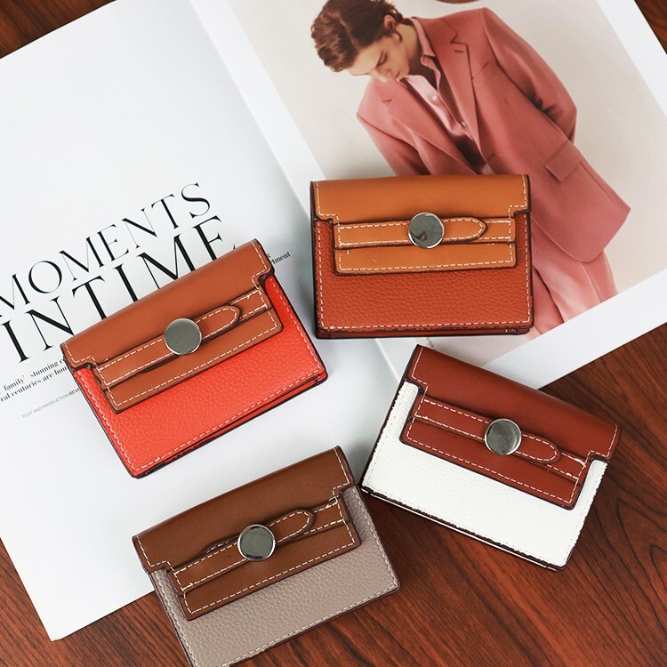 New Compact Internet Celebrity Coin Multi-Card Slot High-End Accordion Card Holder Women Wallet