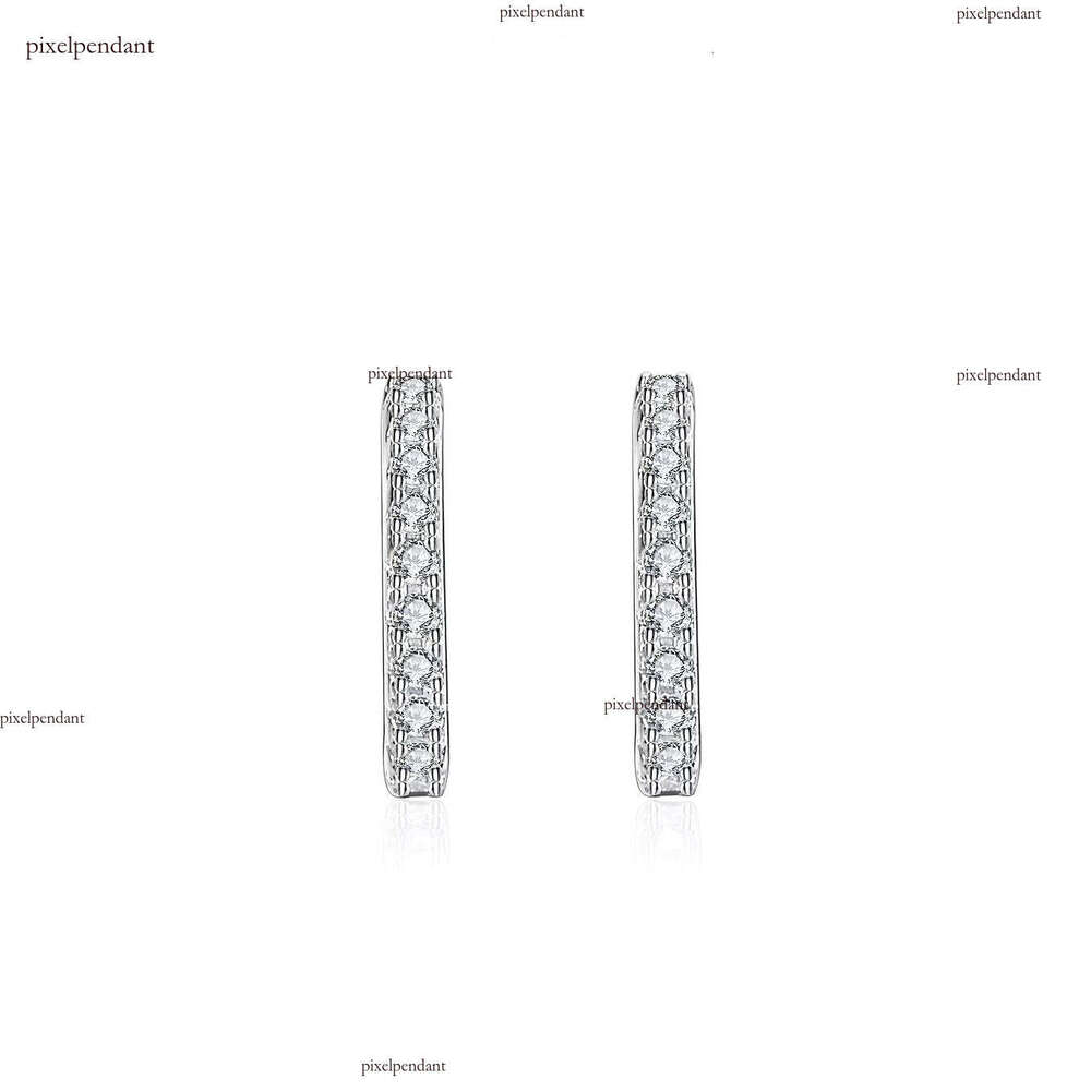 Pure Sier Elegant Moissanite Earrings Gift and Resale