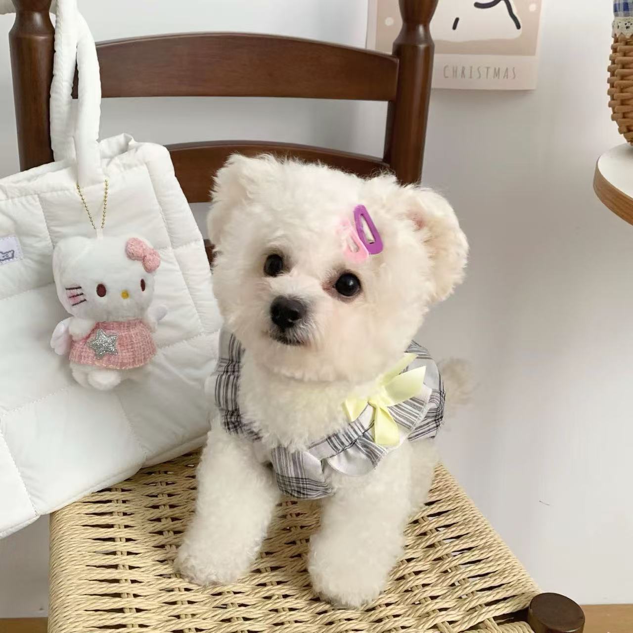 T904 Dog clothes 2025 new summer thin skirt spring and summer clothes small puppy Pomeranian Bichon princess skirt