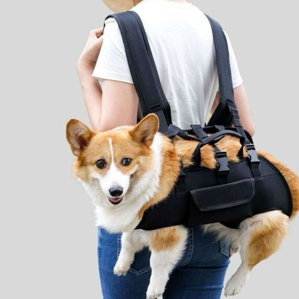 Designer Bag Tote Shoulder Bag Convenient New Small Pet Dog Outdoor Backpack Breathable And Comfortable Handbag