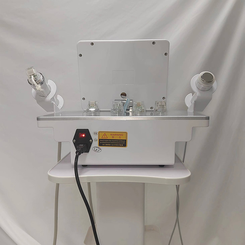 Portable Professional RF Microneedling Machine Facial Skin Care Beauty Wrinkle Removal Skin Rejuvenation Stretch Mark Remover