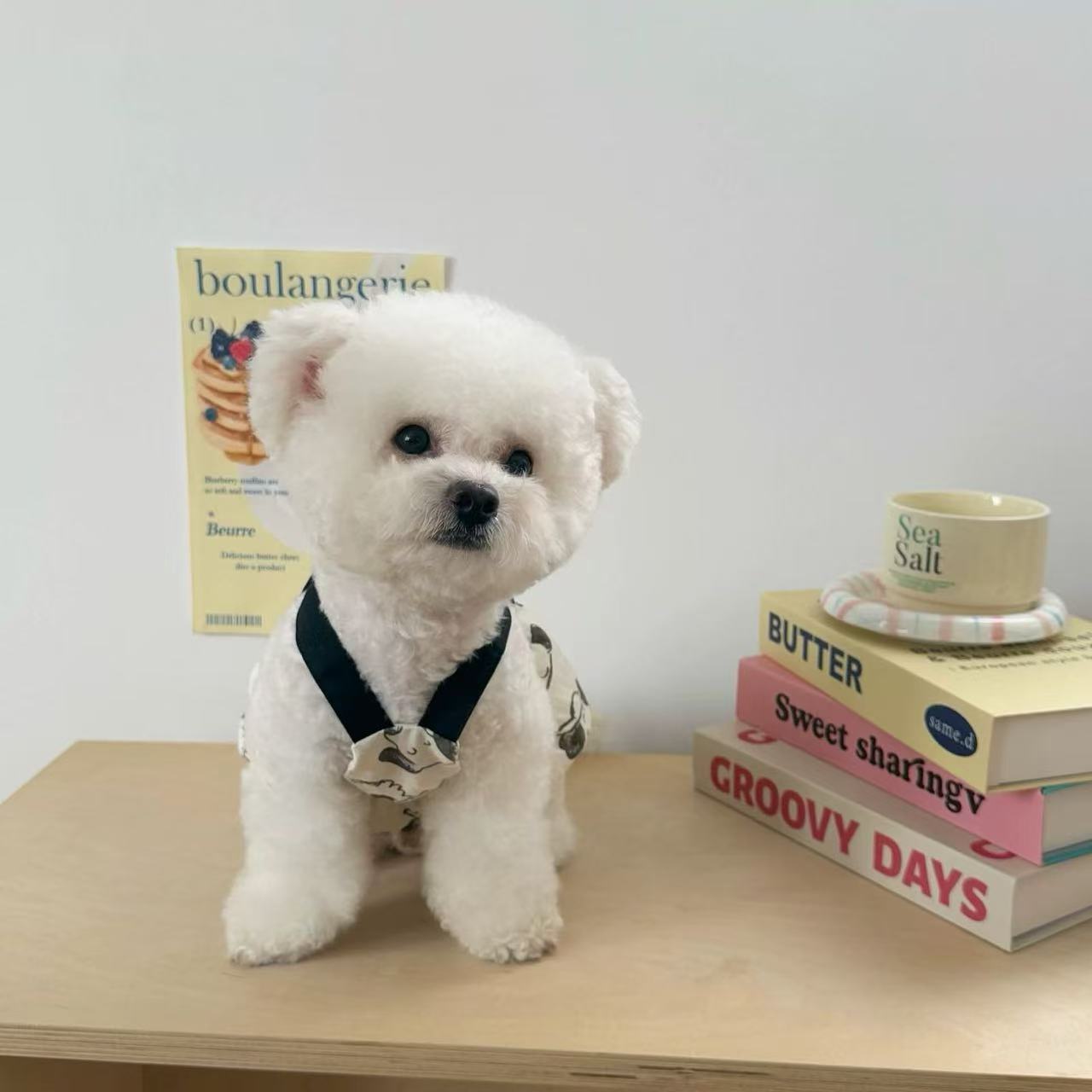 T908 Dog clothes spring and summer thin 2025 new small dog Bichon Teddy cat Maltese anti-hair loss skirt