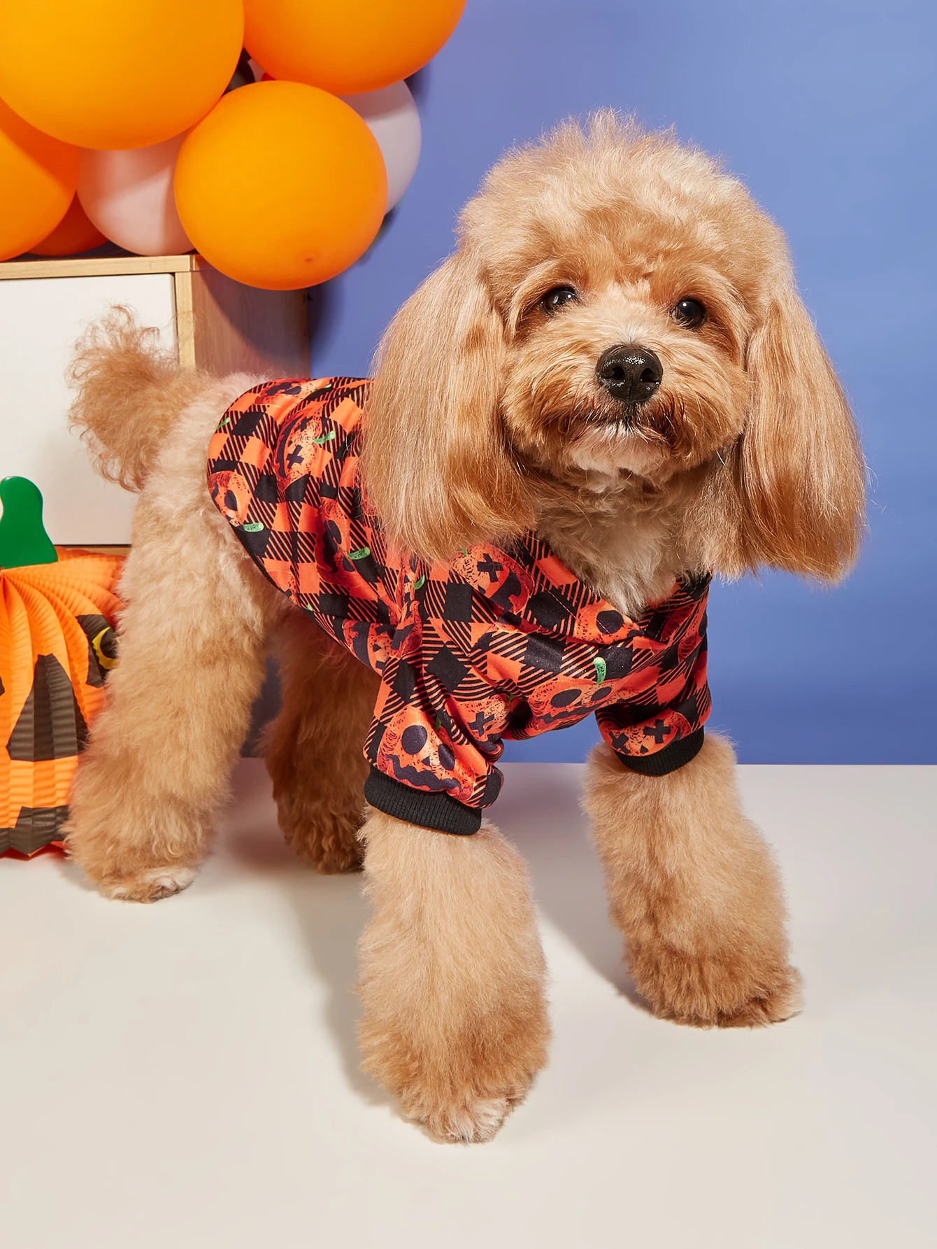 Halloween Pet Hoodie with Pumpkin Prints Orange Black Plaid Hooded Sweatshirt Festive Outfit for Small Dogs Cats Pet 250805