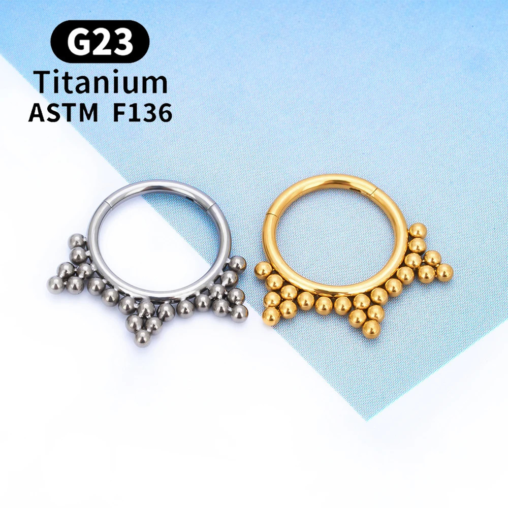 G23 Round Hoop D Shape Nose Ring Daith Heart Earring 16G CZ Hinged Segment Ear Tragus Cartilage Helix Piercing Jewelry 250805