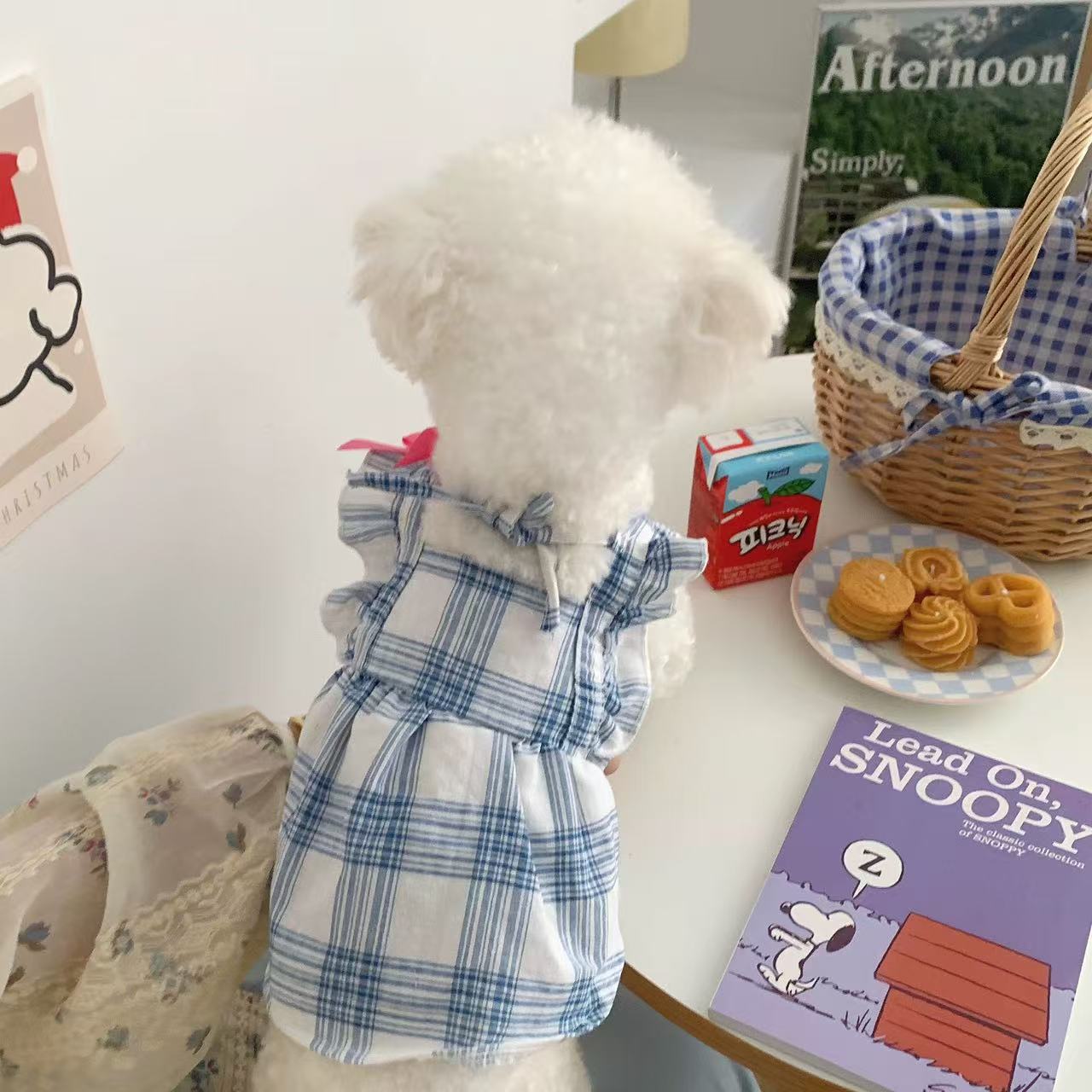 T904 Dog clothes 2025 new summer thin skirt spring and summer clothes small puppy Pomeranian Bichon princess skirt