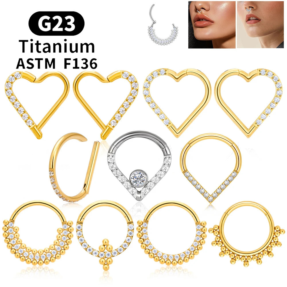G23 Round Hoop D Shape Nose Ring Daith Heart Earring 16G CZ Hinged Segment Ear Tragus Cartilage Helix Piercing Jewelry 250805