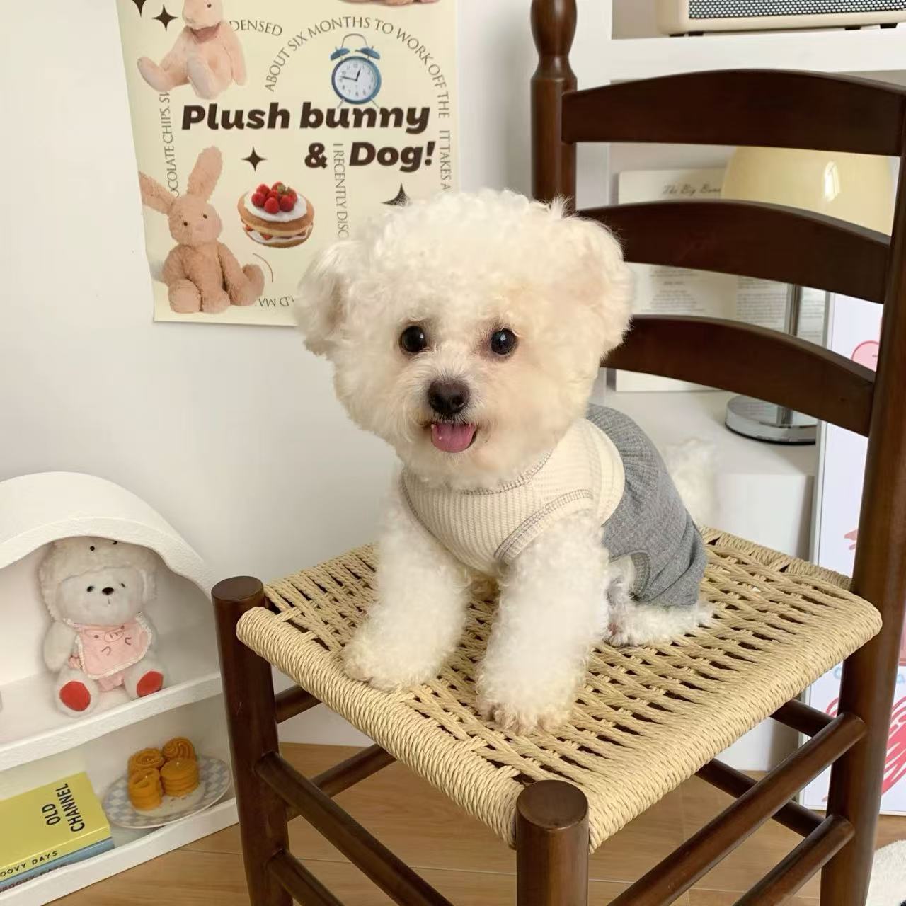 T911 Dog clothes summer spring and summer thin breathable four-legged clothes pet cat small dog Teddy Bichon Pomeranian