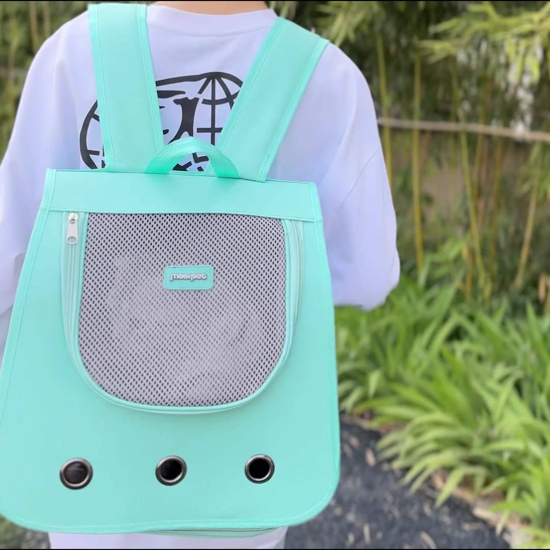 Beni Pet Cat bags, pet bags, portable hand-held backpacks, breathable, suitable for all seasons, cat and small dog pet supplies