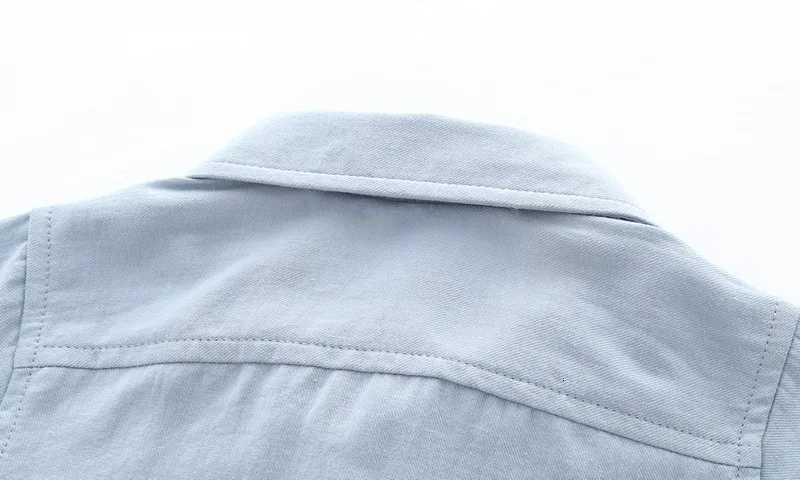 2025 Autumn Boys Shirt Cartoon Blouses Kids Long Sleeve T-Shirts Cotton Cartoon Dinosaurs Printing Lapel Tops 2-7 Years X250806