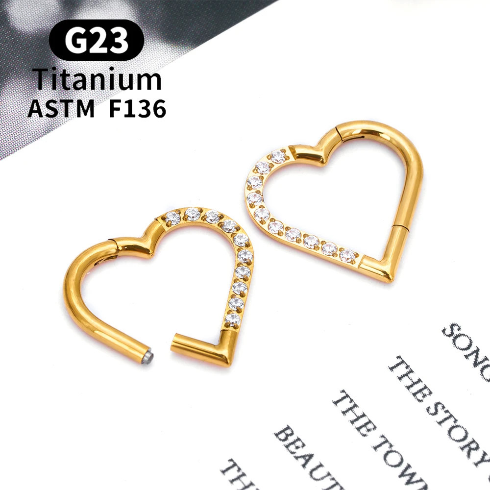 G23 Round Hoop D Shape Nose Ring Daith Heart Earring 16G CZ Hinged Segment Ear Tragus Cartilage Helix Piercing Jewelry 250805
