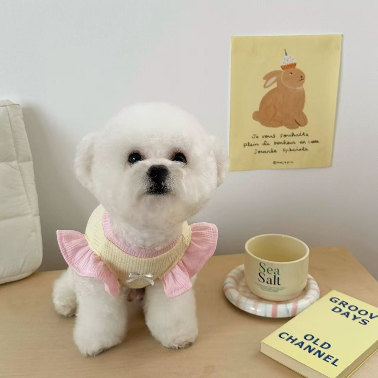 T912 Dog clothes 2025 new summer thin cute small puppy Bichon Frise puppy cat