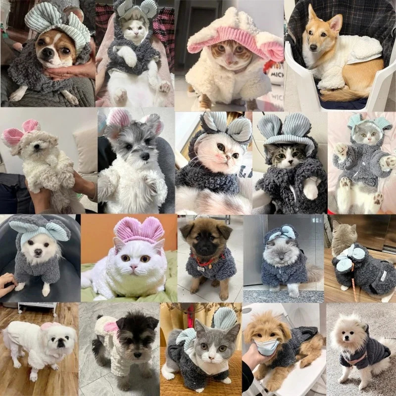 Dog Hoodies Jacket Winter Warm Dog Clothes for Small Dogs Thickened Puppy Overcoat Cute Soft Cat Jacket Coat Pet Costumes 250805