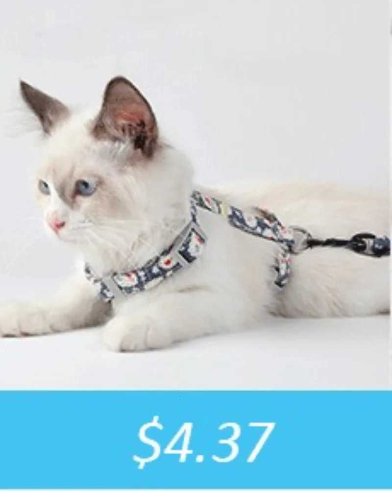 350ml Travel Slow Food Bowl for Small Large Dogs Foldable Pet Feeder with Buckle Y250806