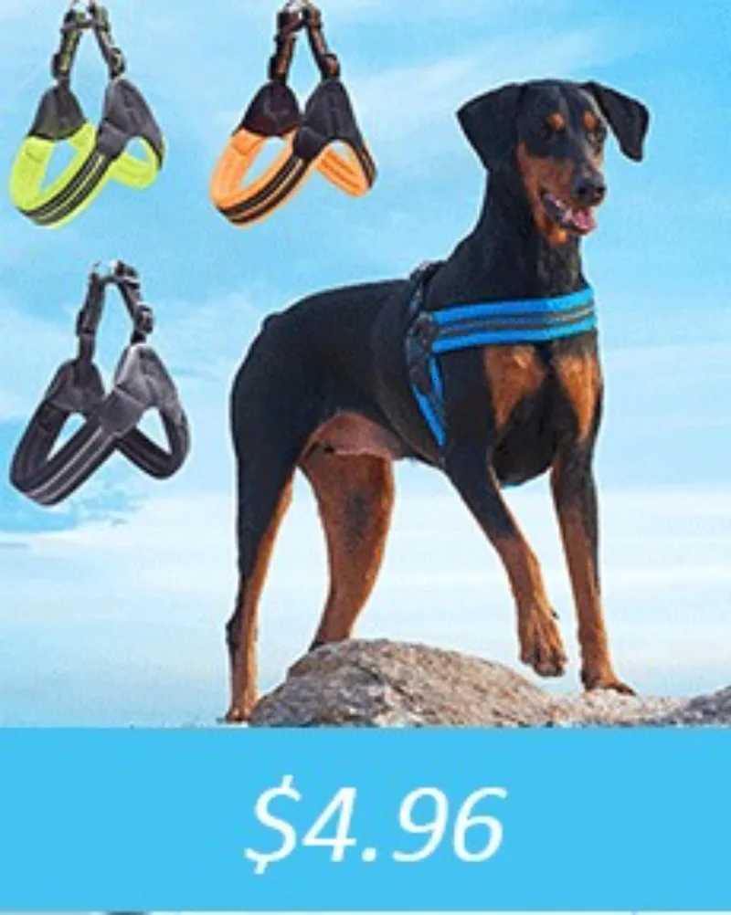 350ml Travel Slow Food Bowl for Small Large Dogs Foldable Pet Feeder with Buckle Y250806