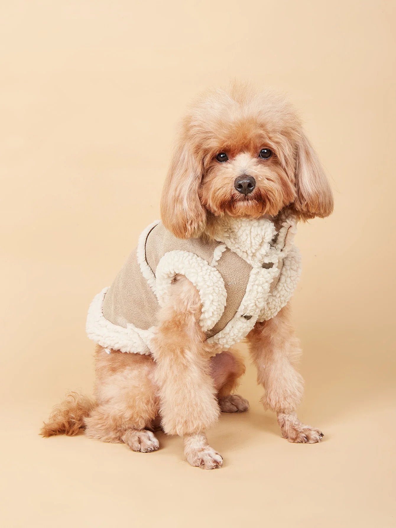 Dog Jackets Warm Plush Dog Vest for Winter Soft Fleece Lining Sweater for Small dog Cat Cute Puppy for Autumn Winter Cold Weathe 250805