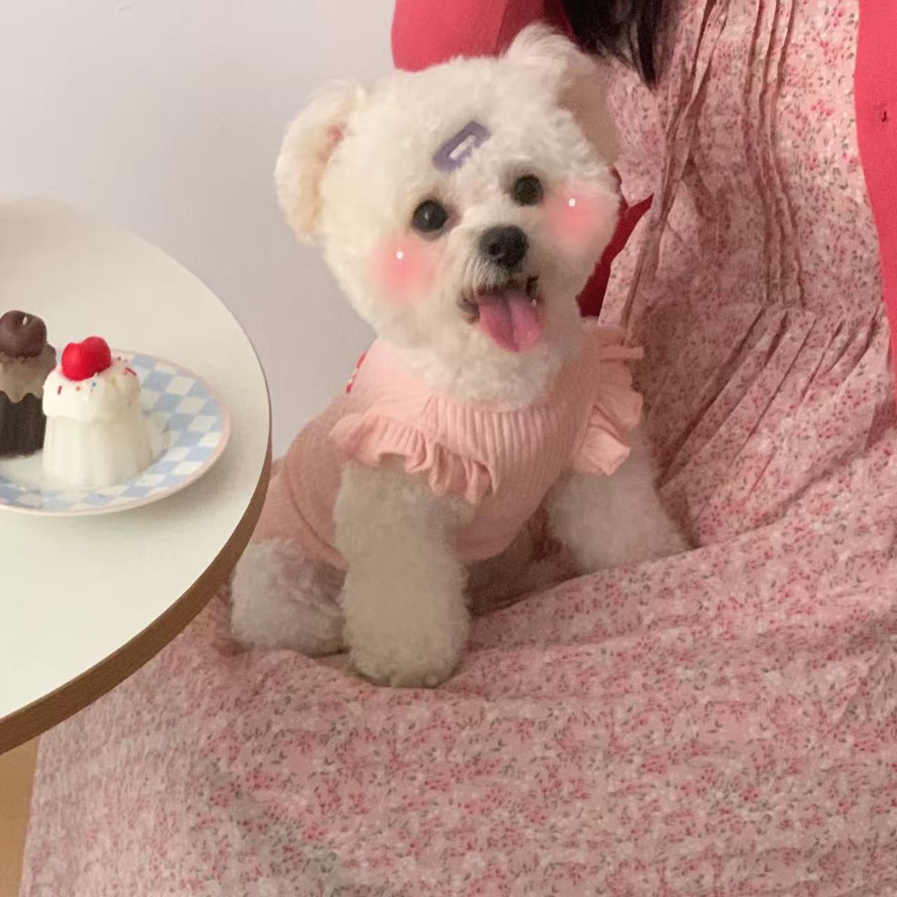 T919 Dog clothes 2025 new girls summer thin small puppy pure cotton Bichon Teddy pet cat vest