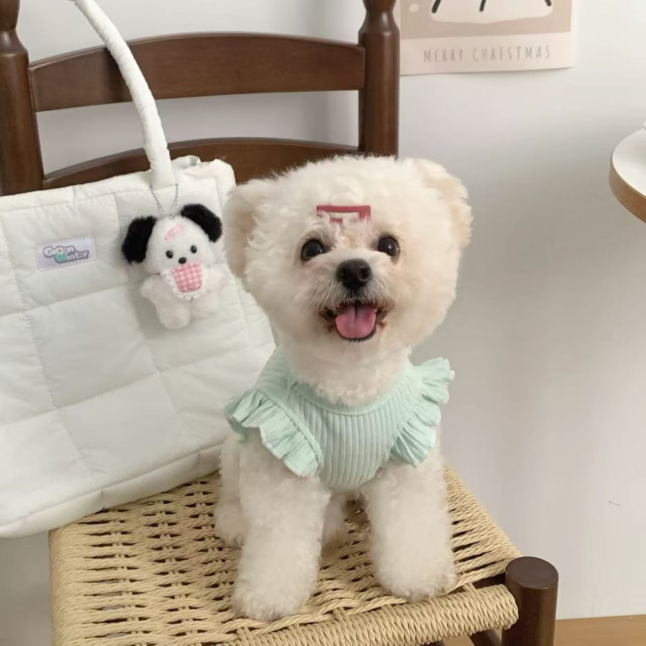 T919 Dog clothes 2025 new girls summer thin small puppy pure cotton Bichon Teddy pet cat vest