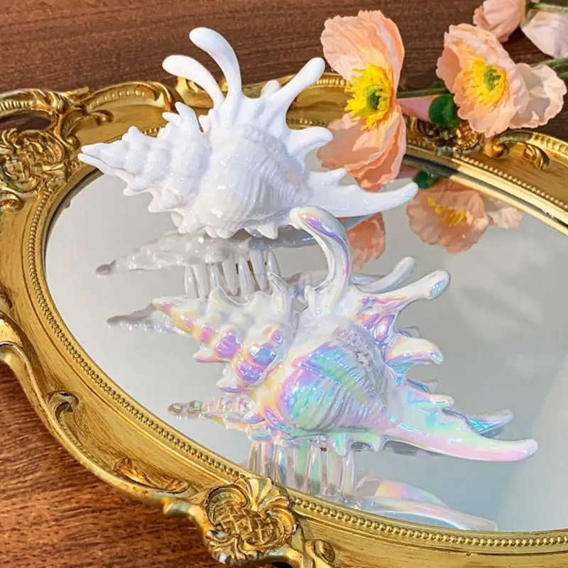 Creative Conch Hairpin Colorful Gift Hair Claw Elegant Clip for Summer Beach New Hair Accessory for Summer Beach U250807