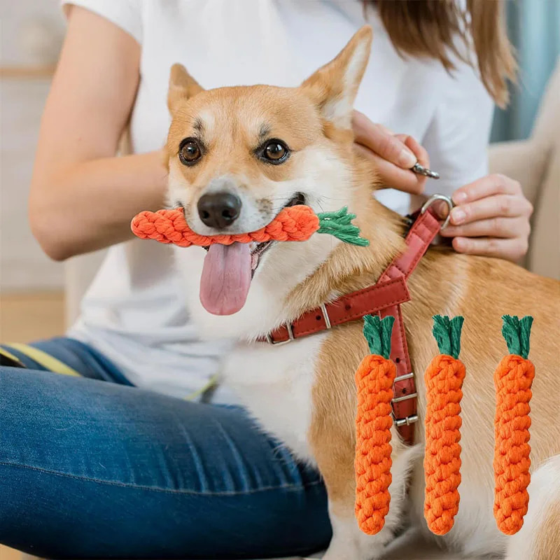 Carrot Dog Bite Rope Pet Dog Toy Safe Durable Braided Bite Dog Chew Toys Resistant Puppy Molar Cleaning Teeth Cotton Rope 250804