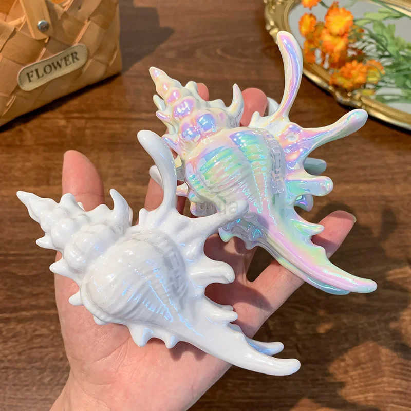 New Summer Beach Acrylic Conch Hair Claw Ocean Series Claw Clips 13CM Large Crab Hair Clips INS Hair Accessories for Women Girls U250807