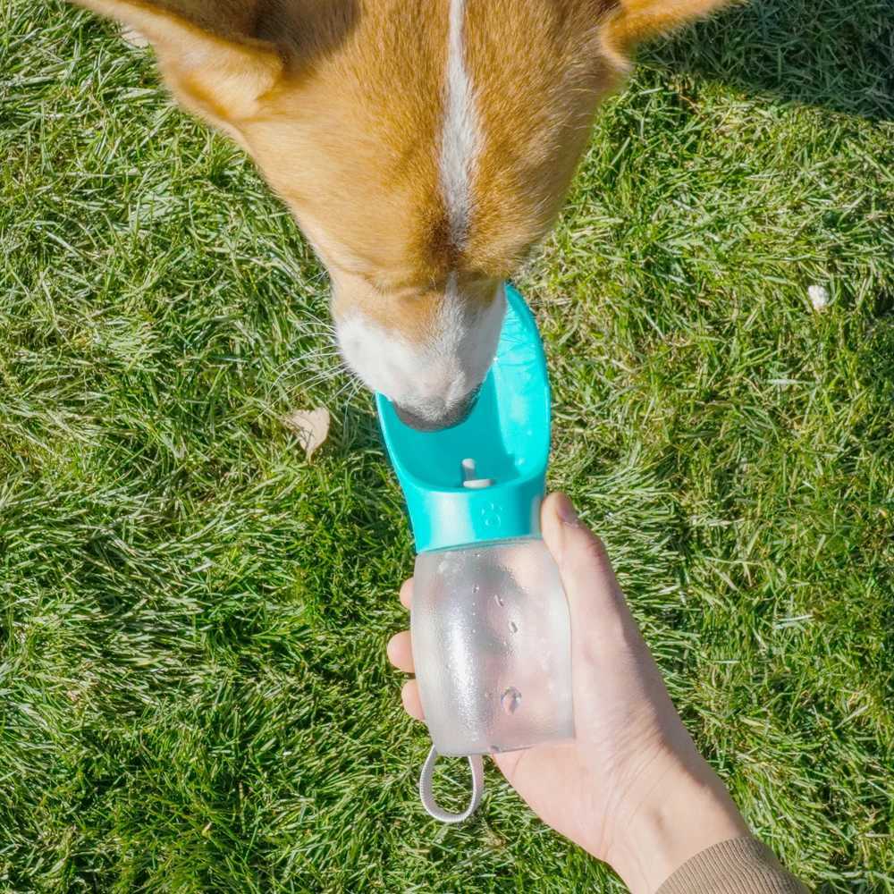 300ML Dog Water Bottle Small Pet Dog Frosted Drinking Bowl Portable Travel Water Container Outside Puppy Bowl Dog Accessories Y250806