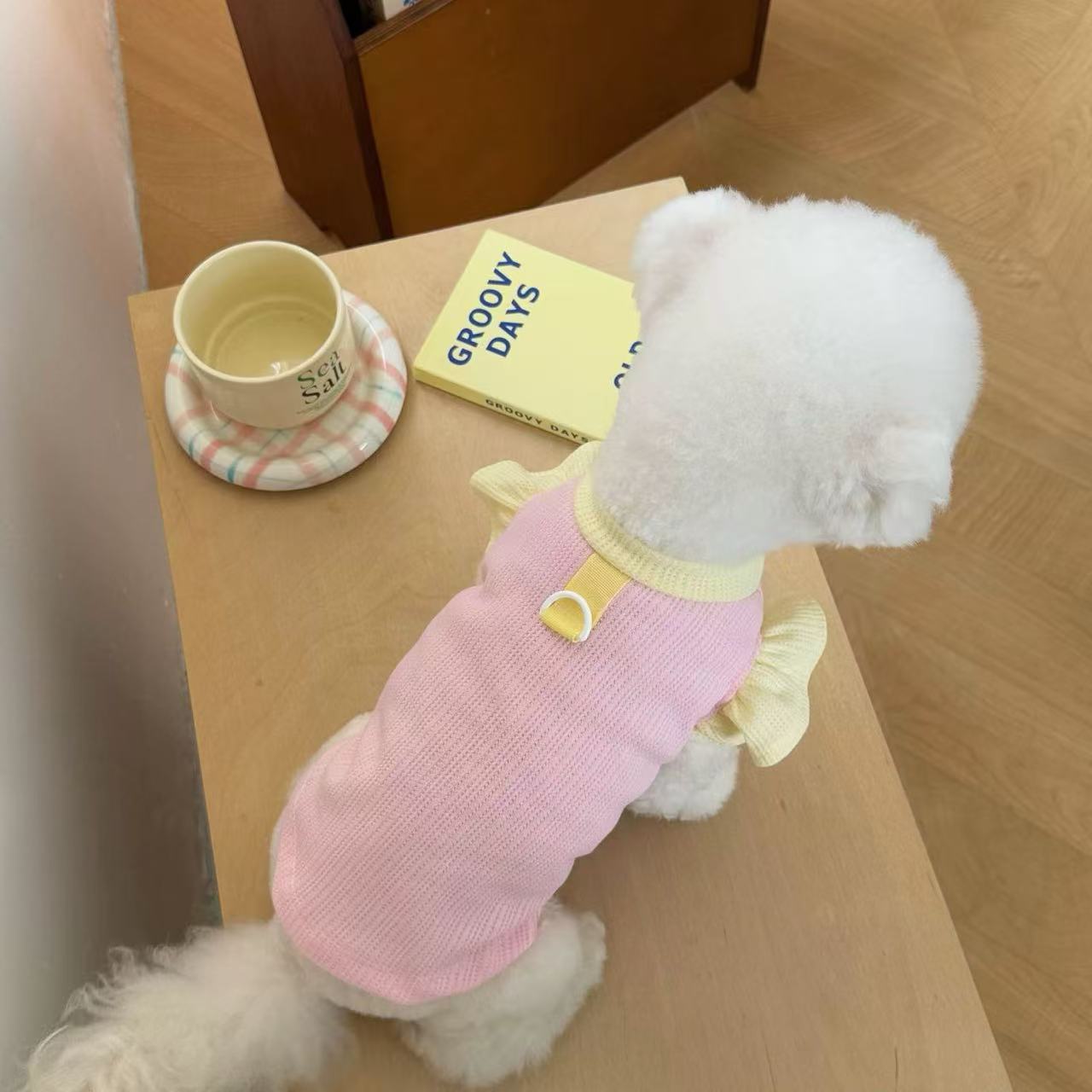 T912 Dog clothes 2025 new summer thin cute small puppy Bichon Frise puppy cat