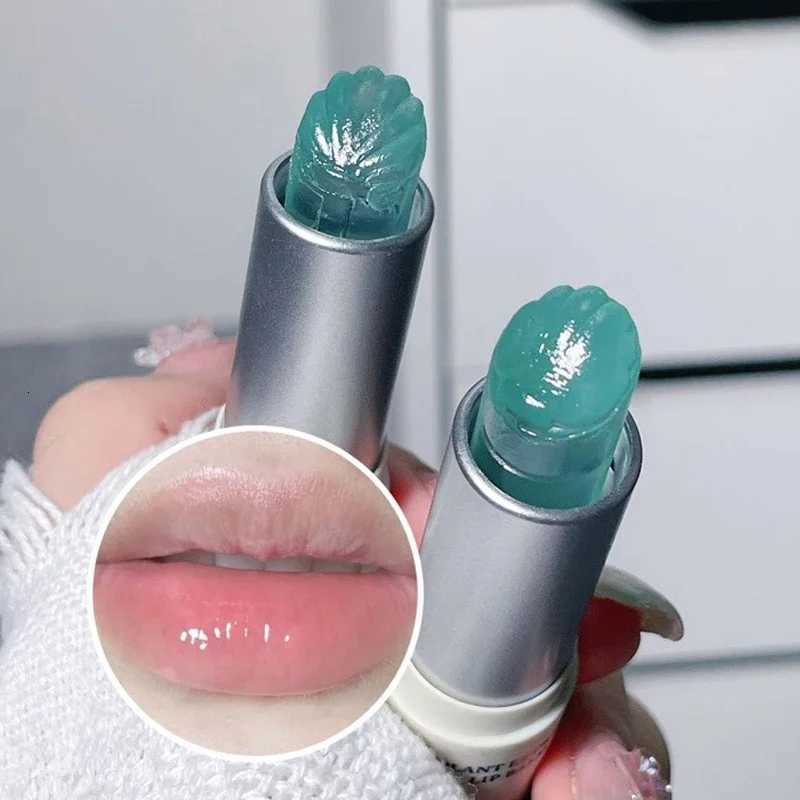 Moisturizing Transparent Lip Balm Shell Shaped Solid Jelly Clear Lip Oil Natural Plant Lipstick Makeup Base Hydrating Lip CareXJ250807