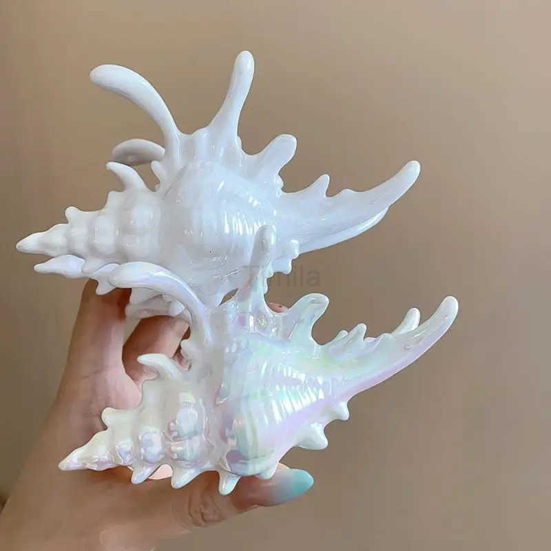 Creative Conch Hairpin Colorful Gift Hair Claw Elegant Clip for Summer Beach New Hair Accessory for Summer Beach U250807