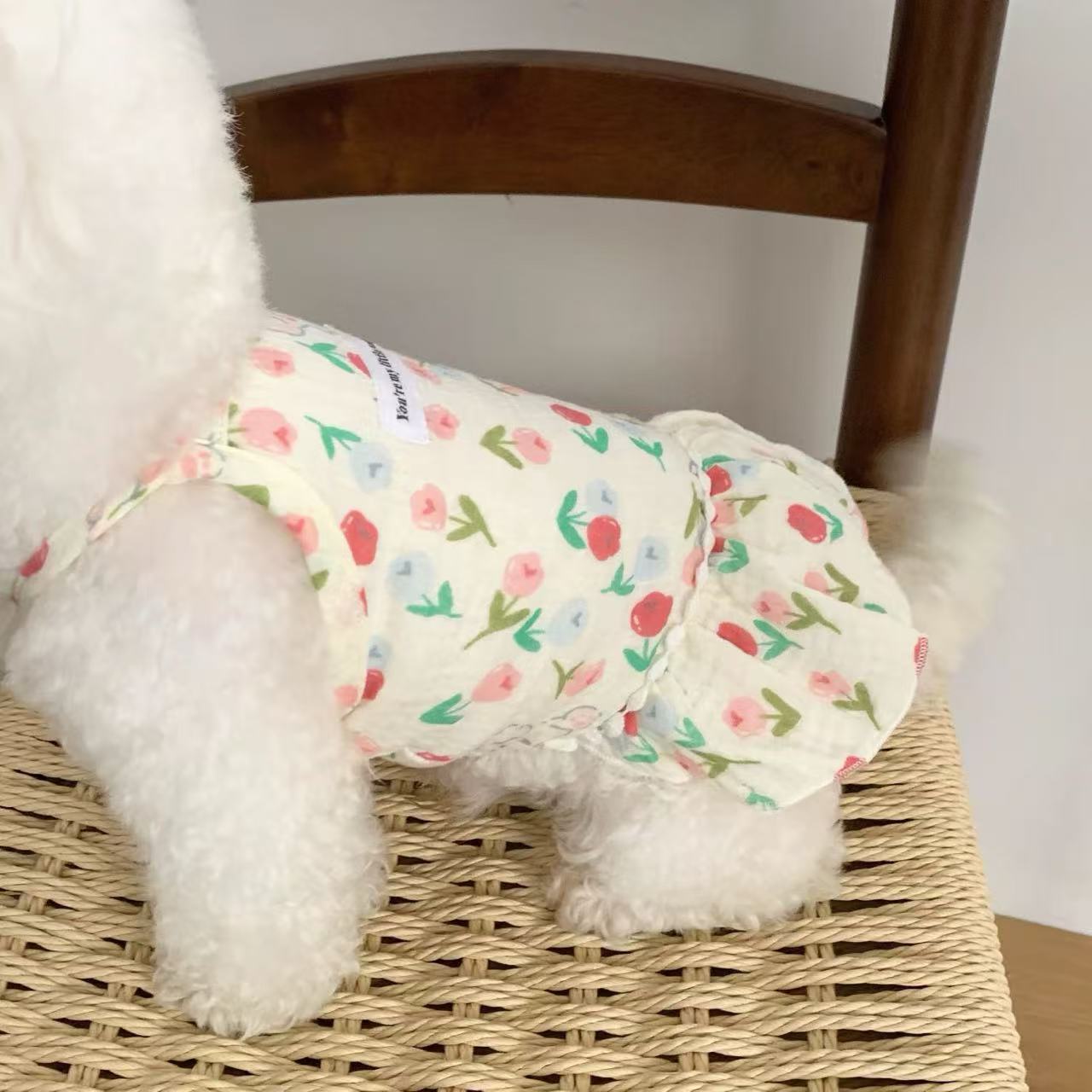 T913 Dog clothes spring and summer 2025 new Teddy Bichon small dog summer pet cat anti-hair loss cute vest