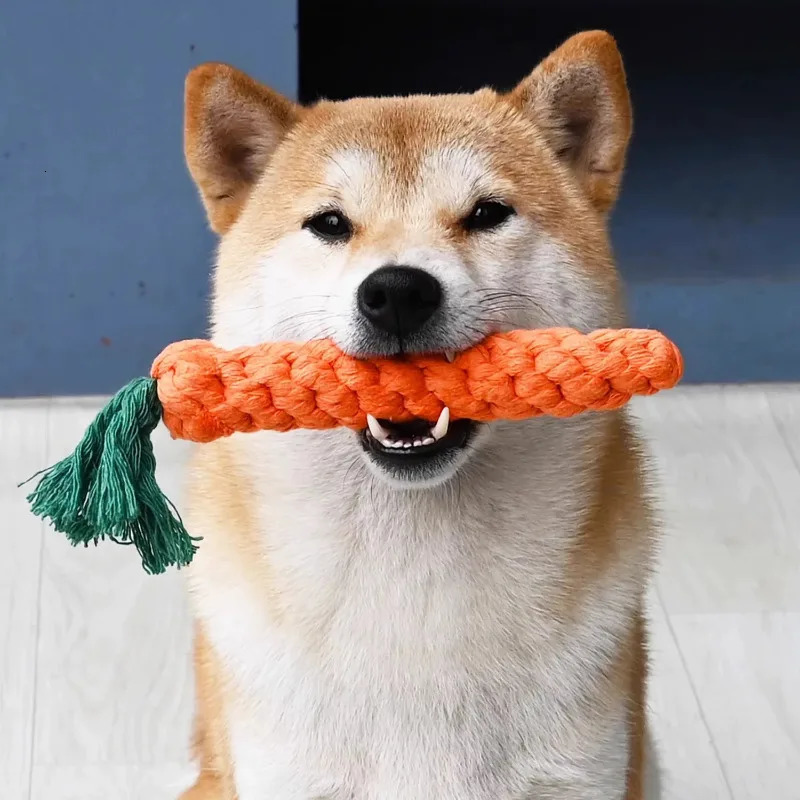 1PCS Carrot Dog Chew Toy Safe Durable Braided Bite Rope for Puppy Teeth Cleaning Molar Exercise Cotton Rope Pet Toy 250804