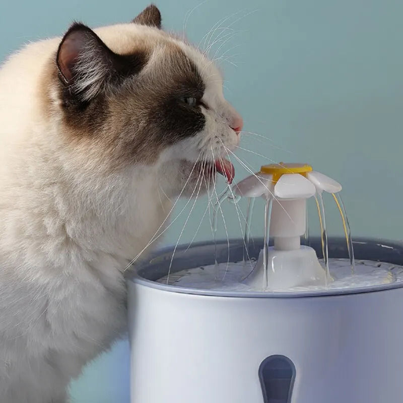2.4L Pet Cat Dispenser Drinking Water Fountain Activated Carbon Filters LED Automatic Feeder Container USB Interface 250805
