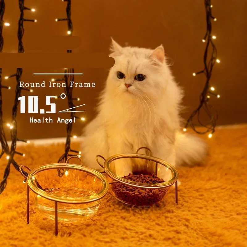 Glass Cat Bowls Small Dog Food Feeding Puppy Water Feeder with Metal Frame Single or Double Option Pet Product Supplies Y250806