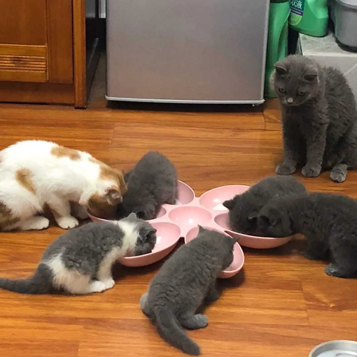 Flower Shaped Pet Bowl with 6 Connected Bowls for Small Dog and Cat Water Dish Puppy Feeding Bowls Slow Down Eating Feeder Y250806